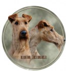 Наклейка - ирландский терьер