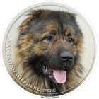 caucasian_shepherd_dog_328-703