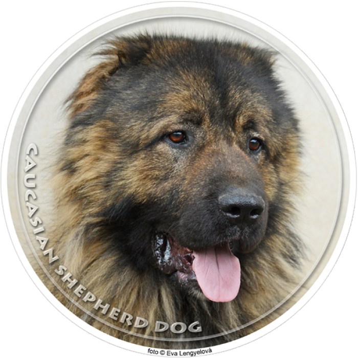 caucasian_shepherd_dog_328-703